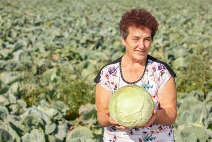 Ovako Slobodanka KISELI KUPUS "Ljudi obično GRIJEŠE SA KOLIČINOM SOLI, evo kako da nađete PRAVU MJERU"