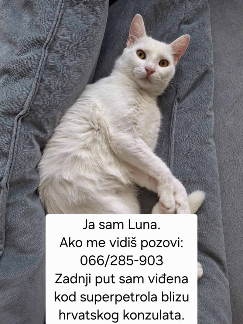 FOTO: USTUPLJENA FOTOGRAFIJA