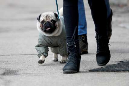 mops pas
