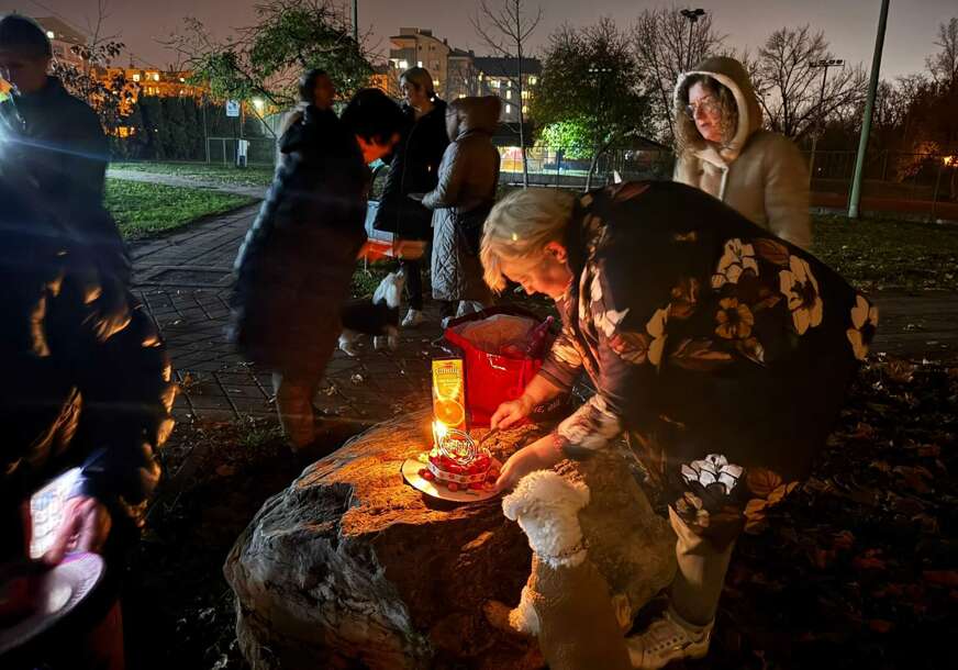 (VIDEO, FOTO) Neobično slavlje uz Vrbas: Maltezerka Meli proslavila 4. rođendan sa drugarima
