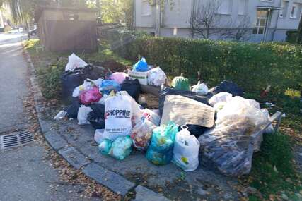 Smeće, Njegoševa ulica, Nova Varoš