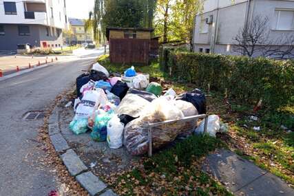 (FOTO) "Ko je ovo odlučio" Do juče kontejner, a jutros već DEPONIJA u ovom banjalučkom naselju