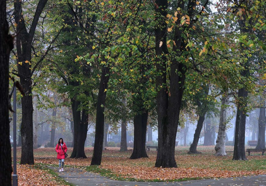 zelena banjaluka - park mladen stojanović