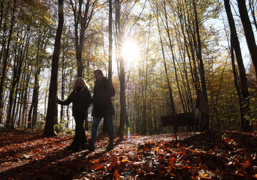zelena banjaluka - park šuma slatina 