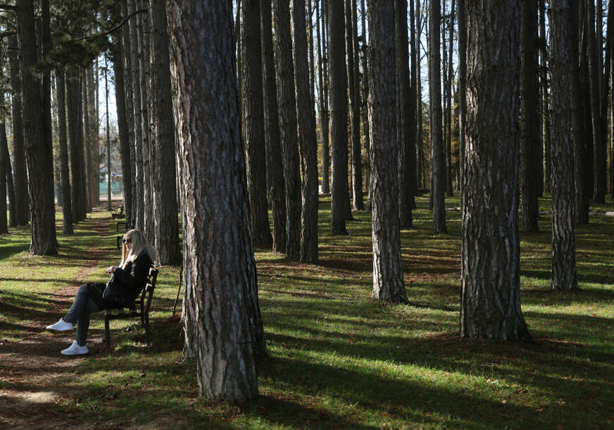 zelena banjaluka - park šuma slatina 
