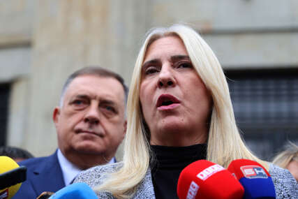 Cvijanovićeva reagovala "Crnadak izmišlja teme kako bi se pokazao kao RELEVANTAN POLITIČKI FAKTOR"