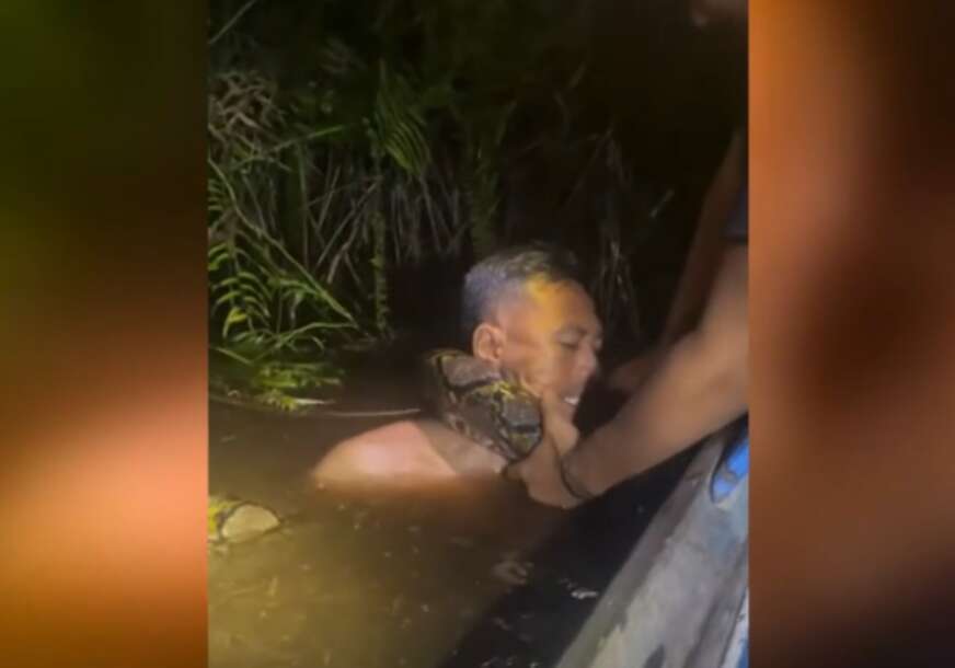 (VIDEO) SMRT MU DIŠE ZA VRATOM Zastrašujuća borba čovjeka i pitona ledi krv u žilama