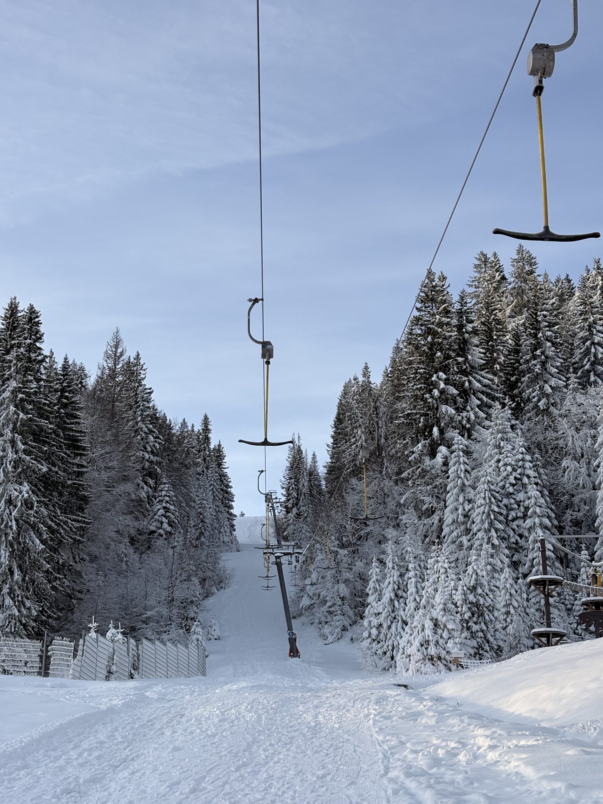 FOTO: USTUPLJENA FOTOGRAFIJA