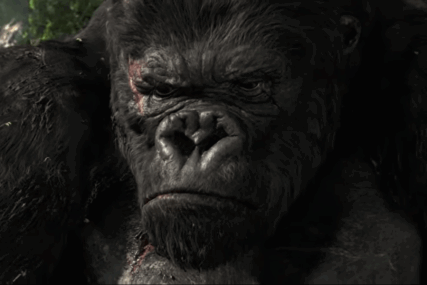 (VIDEO) Rječnik junaka pop kulture: King Kong – zaljubljeni gorila