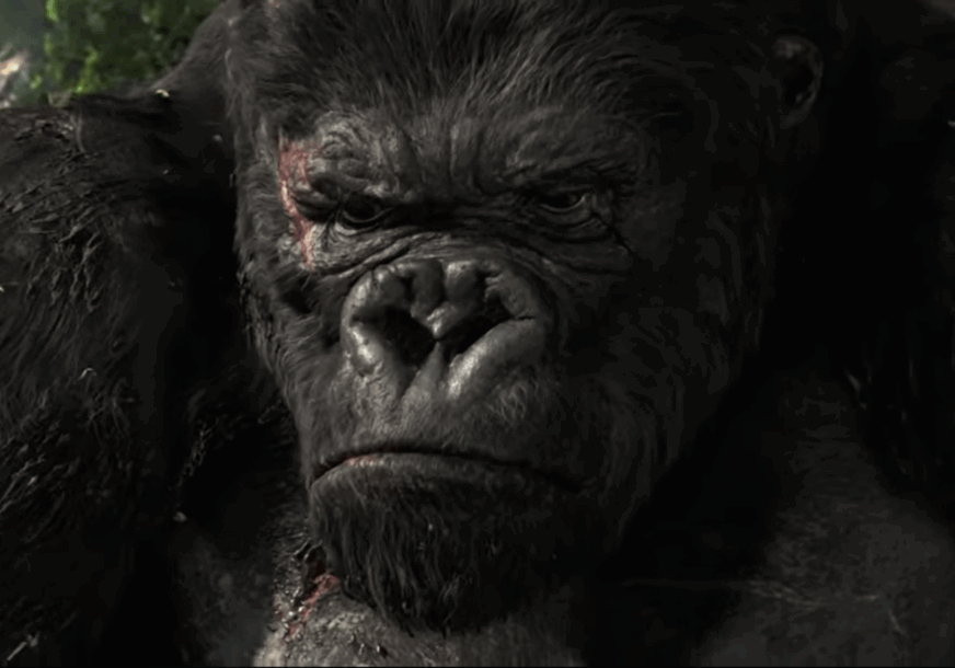 (VIDEO) Rječnik junaka pop kulture: King Kong – zaljubljeni gorila