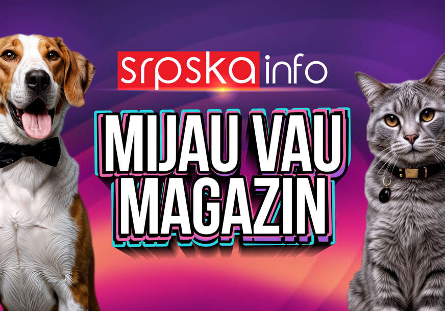 Mijau vau magazin
