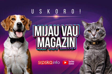 USKORO NA SRPSKAINFO Svijet ljubimaca kakav još niste vidjeli – „Mijau vau magazin“
