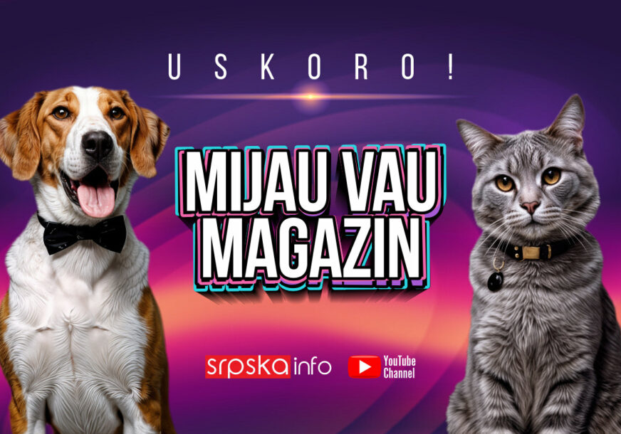 USKORO NA SRPSKAINFO Svijet ljubimaca kakav još niste vidjeli – „Mijau vau magazin“