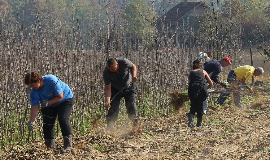 U Srpskoj će i SEZONCI plaćati doprinose: Evo šta po novom zakonu od Nove godine čeka vlasnike samostalnih radnji