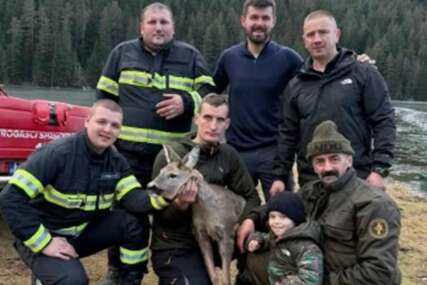 (VIDEO) Borba za život srne na Durmitoru: Bježala od vukova, pa ostala zarobljena na ledu, spasili je u posljednjem trenutku