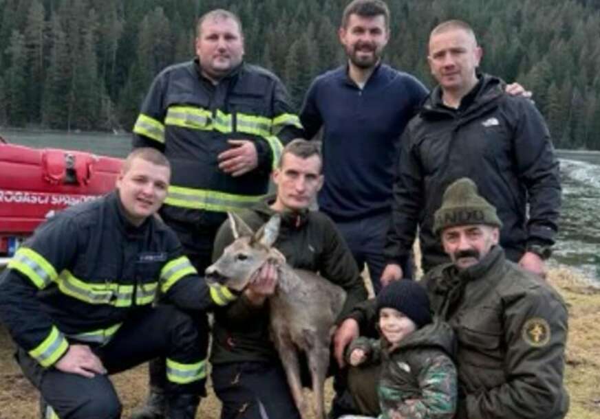 (VIDEO) Borba za život srne na Durmitoru: Bježala od vukova, pa ostala zarobljena na ledu, spasili je u posljednjem trenutku