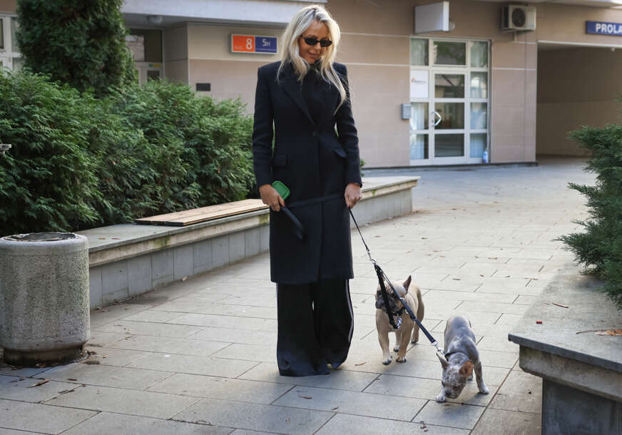 (VIDEO, FOTO) Mijau Vau magazin: Hoteli za mačke, francuski buldozi poznate influenserice i savjeti veterinara