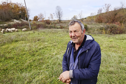 Stipe Šimić