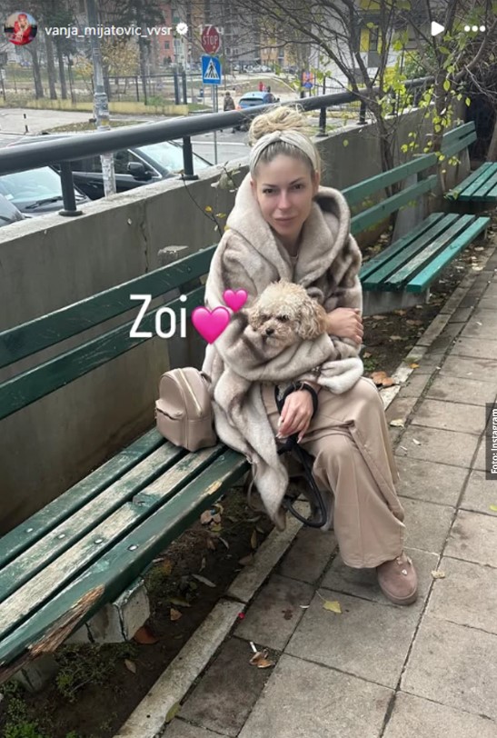 Vanja Mijatović 