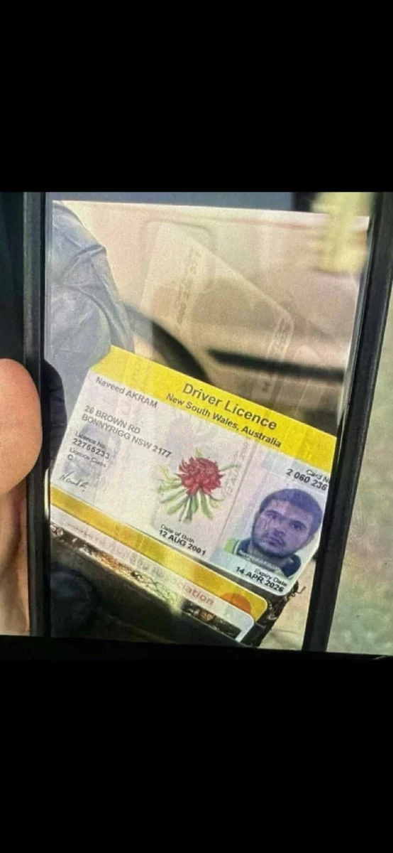 Navid Akram