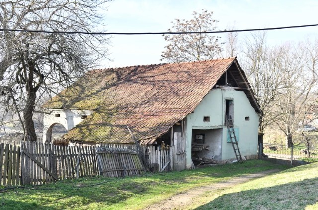 apostol apostolović 