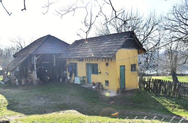 apostol apostolović 