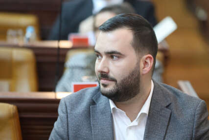 bogoljub zeljković