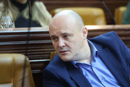dejan sejmanović