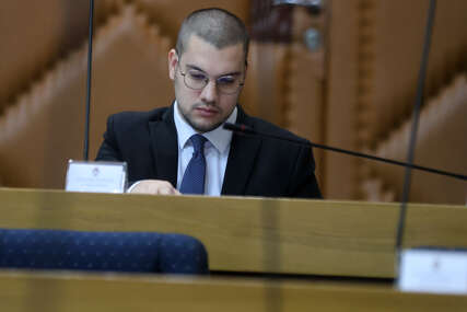 narodna skupština rs , djordje vučinić