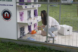 FOTO: MIOMIR JAKOVLJEVIĆ/RINGIER