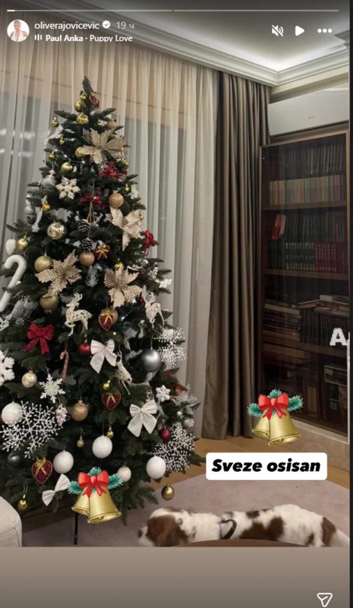 FOTO: OLIVERAJOVICEVIC/INSTAGRAM/SCREENSHOT