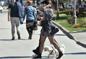Pas može POJESTI NEŠTO OPASNO dok šeta: Evo kako da reagujete i kada je vrijeme za hitan odlazak veterinaru