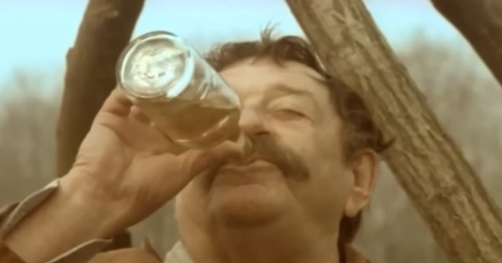 pavle vujisić