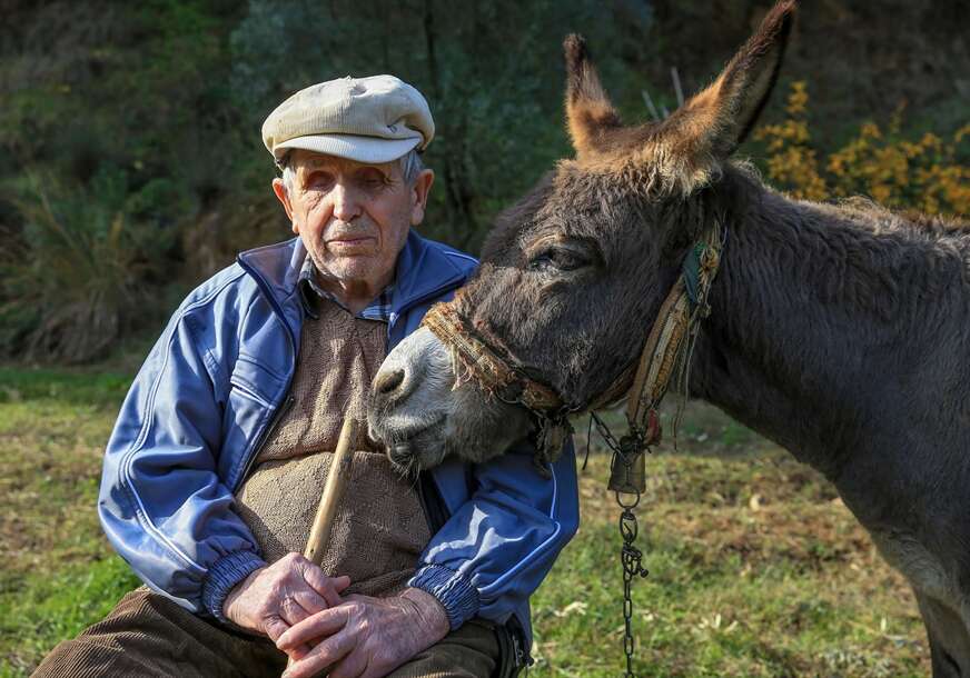 (FOTO) MAGARE MU VODIČ Slijepi djed Raif već 24 godine se kreće zahvaljujući svom magarcu