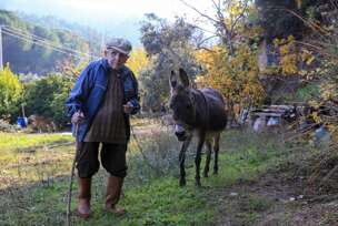FOTO: AHMET BAYRAM/ANADOLIJA