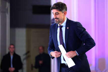 veljko paunović