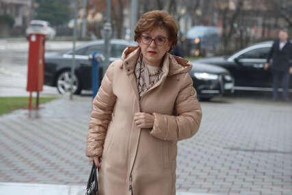 GUBITNIK DANA Zora Vidović