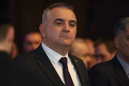 GUBITNIK DANA Savo Minić