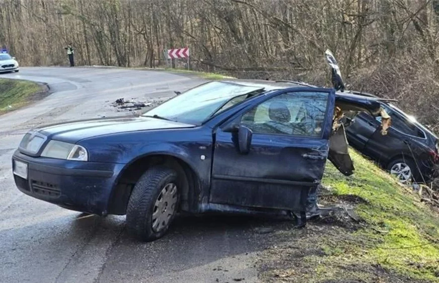 (FOTO) AUTO PREPOLOVLJEN U stravičnoj nesreći u Hrvatskoj povrijeđeno 6 osobe, među kojima ima i djece