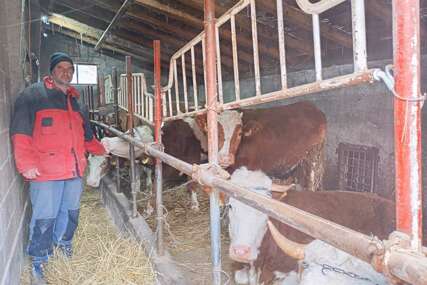 FOTO: USTUPLJENA FOTOGRAFIJA