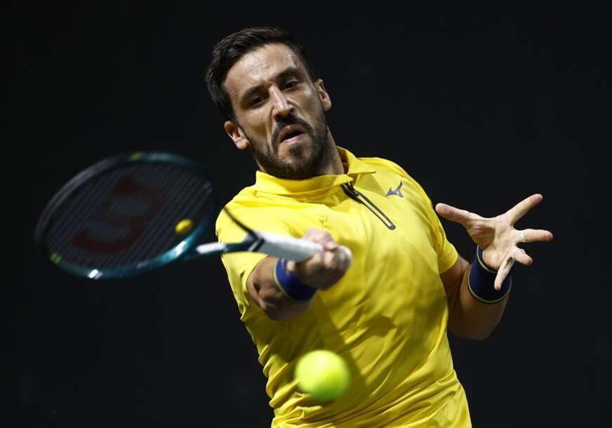 Damir Džumhur