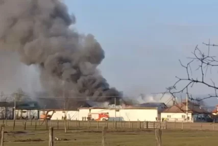 (FOTO) Odjekuju vatrogasne sirene: Gore HALE ZA PROIZVODNJU KISELOG KUPUSA, požar se širi velikom brzinom