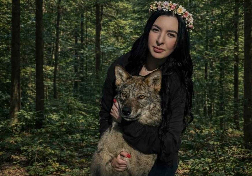 Između instinkta i maske: Ko je danas zaista opasan - vuk ili čovjek?