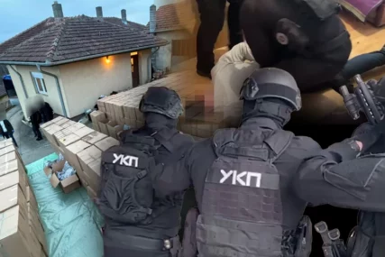 (VIDEO) Detalji rekordne zapljene droge: Otkupljivali sadnice kornišona i dunja, a ČUVALI MARIHUANU