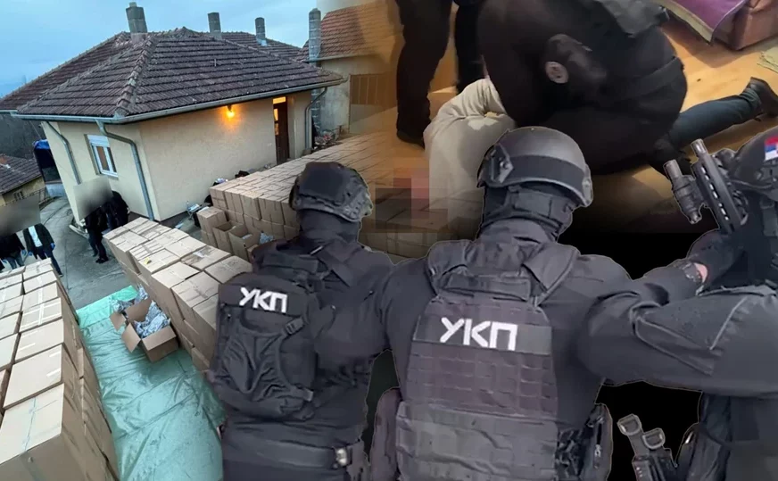 (VIDEO) Detalji rekordne zapljene droge: Otkupljivali sadnice kornišona i dunja, a ČUVALI MARIHUANU