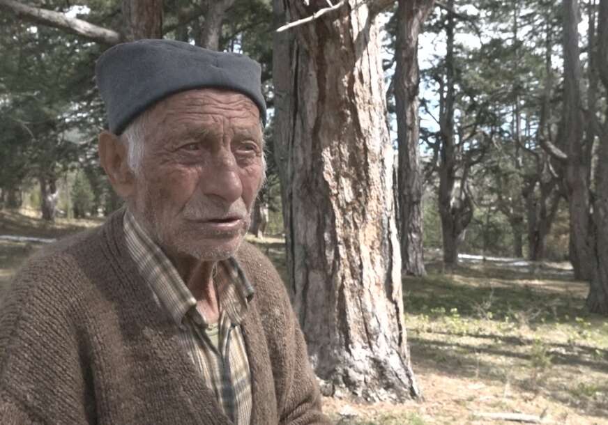 Petar Ćirović