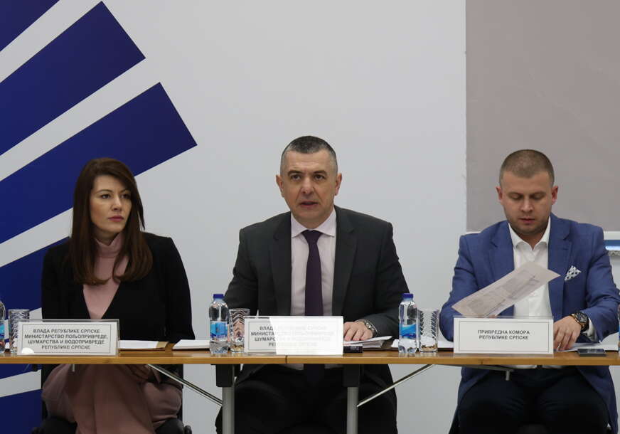 FOTO: NIKOLA SEKULIĆ/RINGIER