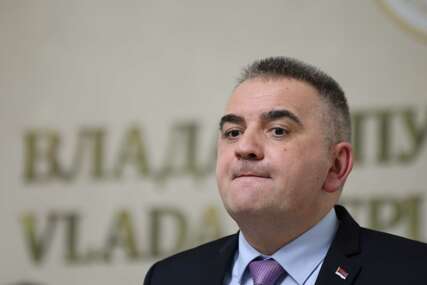 GUBITNIK DANA Savo Minić