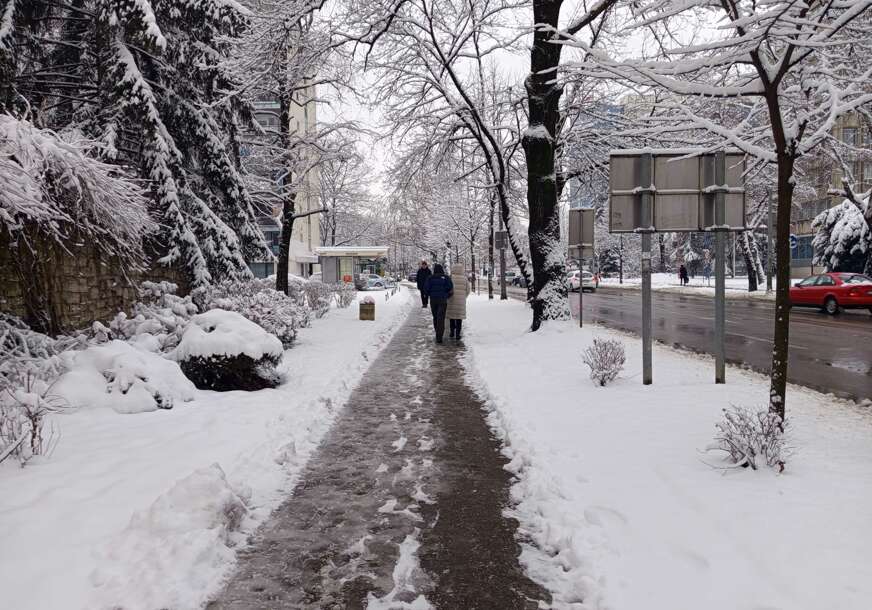 FOTO: ŽELJKA KNEŽEVIĆ/RINGIER