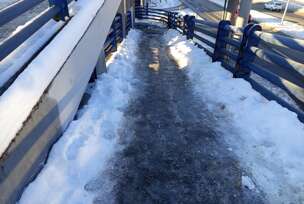 FOTO: ŽELJKA KNEŽEVIĆ/RINGIER